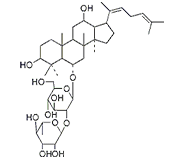 人參皂苷F4 CAS：181225-33-2 中藥對照品標(biāo)準(zhǔn)品