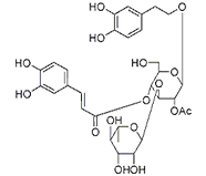  2'-乙酰毛蕊花糖苷 CAS：94492-24-7 中藥對(duì)照品標(biāo)準(zhǔn)品