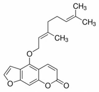 佛手柑素 CAS：7380-40-7 中藥對(duì)照品標(biāo)準(zhǔn)品