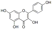 山奈酚 CAS：520-18-3 中藥對(duì)照品標(biāo)準(zhǔn)品