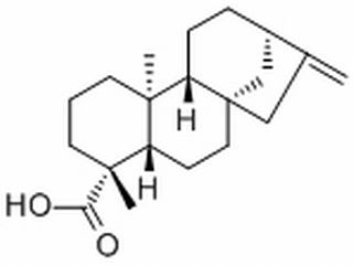 異貝殼杉烯酸 CAS：6730-83-2 中藥對(duì)照品標(biāo)準(zhǔn)品