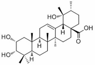  野鴉椿酸 CAS:53155-25-2 中藥對(duì)照品標(biāo)準(zhǔn)品