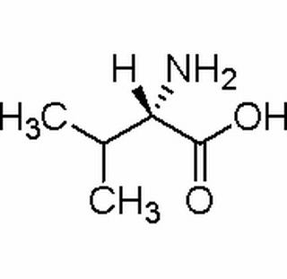 L-纈氨酸 CAS: 72-18-4 中藥對(duì)照品標(biāo)準(zhǔn)品