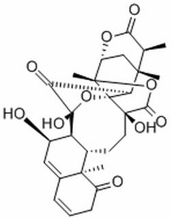 酸漿苦味素L CAS：113146-74-0 中藥對照品標(biāo)準(zhǔn)品