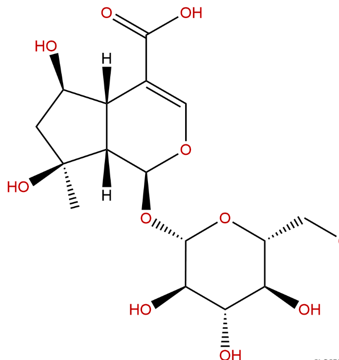 山梔苷 CAS：29836-27-9 中藥對(duì)照品標(biāo)準(zhǔn)品