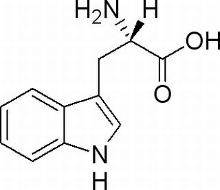 L-色氨酸 CAS：73-22-3 中藥對(duì)照品標(biāo)準(zhǔn)品