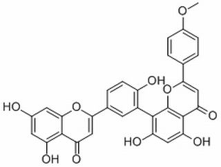 竹柏雙黃酮 A CAS：22136-74-9 中藥對照品標(biāo)準(zhǔn)品