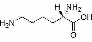 L-賴氨酸 CAS:56-87-1 中藥對照品標(biāo)準(zhǔn)品