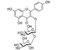 山奈酚-3-O-槐糖苷 CAS：19895-95-5 中藥對照品 標準品