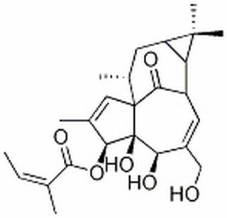 巨大戟醇-3-O-當(dāng)歸酸酯 CAS：75567-37-2 中藥對照品標(biāo)準(zhǔn)品