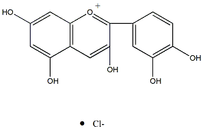 氯化矢車菊素 CAS：528-58-5 中藥對(duì)照品 標(biāo)準(zhǔn)品