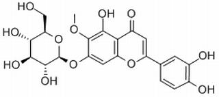 假荊芥屬苷 CAS：569-90-4 中藥對(duì)照品標(biāo)準(zhǔn)品