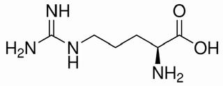 L-精氨酸 CAS：74-79-3 中藥對照品標(biāo)準(zhǔn)品