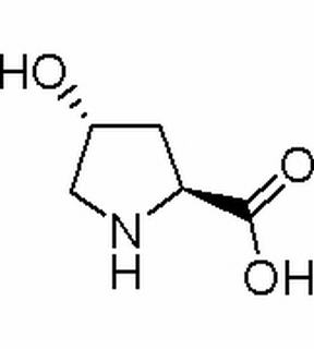 L-羥基脯氨酸 CAS：51-35-4 中藥對照品標準品