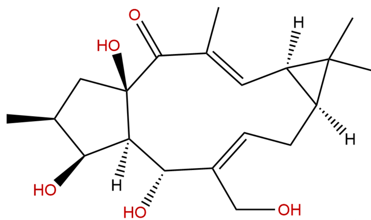 17-羥基異千金二萜醇 CAS：93551-00-9 中藥對(duì)照品標(biāo)準(zhǔn)品