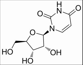 尿嘧啶核苷 CAS：58-96-8 中藥對照品標(biāo)準(zhǔn)品