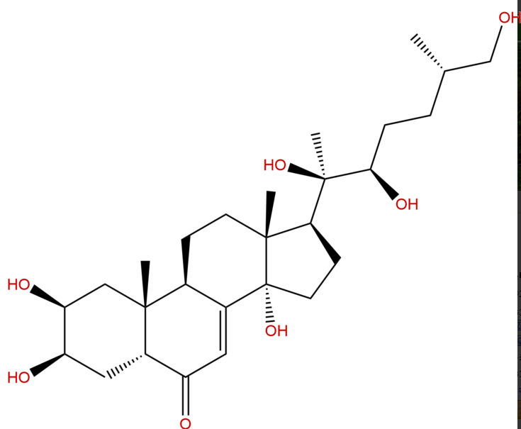 25R-牛膝甾酮 CAS：19682-38-3 中藥對(duì)照品標(biāo)準(zhǔn)品