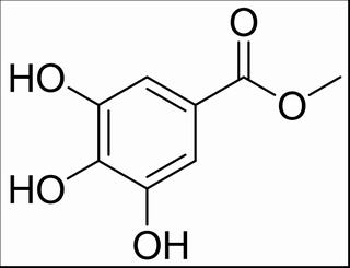 沒食子酸甲酯 CAS：99-24-1 中藥對照品標(biāo)準(zhǔn)品