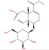 斷氧化馬錢子苷 CAS： 58822-47-2 中藥對(duì)照品標(biāo)準(zhǔn)品