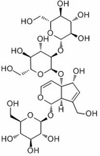 地黃苷 D CAS：81720-08-3 中藥對(duì)照品標(biāo)準(zhǔn)品