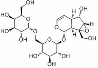 地黃苷 A CAS：81720-05-0 中藥對照品標(biāo)準(zhǔn)品