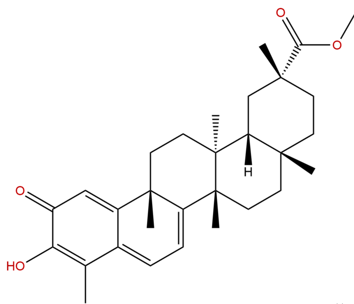 扁蒴藤素 CAS：1258-84-0 中藥對(duì)照品標(biāo)準(zhǔn)品