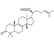 β-欖香酮酸 CAS：28282-25-9 中藥對(duì)照品 標(biāo)準(zhǔn)品