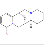 黃華堿 CAS： 486-90-8 中藥對(duì)照品標(biāo)準(zhǔn)品