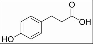 對羥基苯丙酸 CAS：501-97-3 中藥對照品標(biāo)準(zhǔn)品