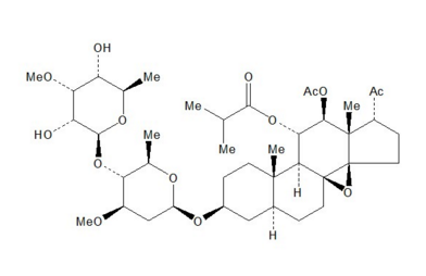 11-O-異丁?；?12-O-乙酰基通關(guān)藤甘元B-3-O-茯苓二