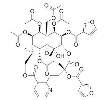 Triptonine B CAS：168009-85-6 中藥對照品標(biāo)準(zhǔn)品