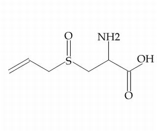 蒜氨酸 CAS：556-27-4 中藥對照品標(biāo)準(zhǔn)品