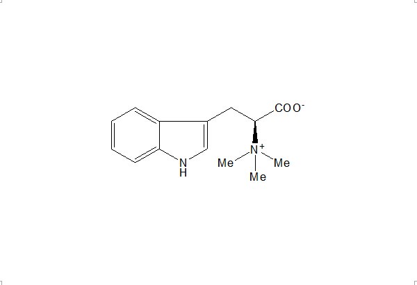 刺桐堿 CAS：487-58-1 中藥對(duì)照品 標(biāo)準(zhǔn)品