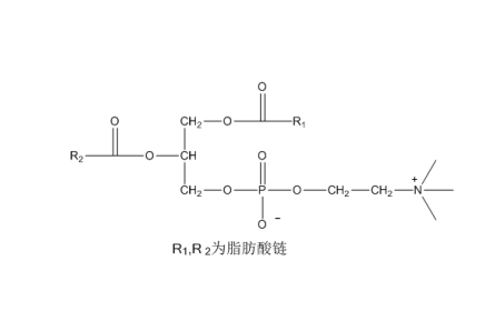 蛋黃磷脂酰膽堿 CAS：93685-90-6 中藥對(duì)照品 標(biāo)準(zhǔn)品