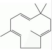 α-石竹烯 CAS：6753-98-6 中藥對照品標(biāo)準(zhǔn)品