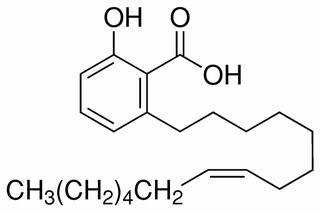 銀杏酚酸（15:1） CAS：22910-60-7 中藥對照品標準品