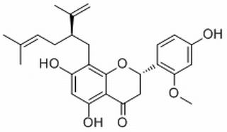 異苦參酮 CAS：97938-31-3 中藥對照品標(biāo)準(zhǔn)品