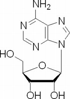 腺苷 CAS：58-61-7 中藥對(duì)照品標(biāo)準(zhǔn)品