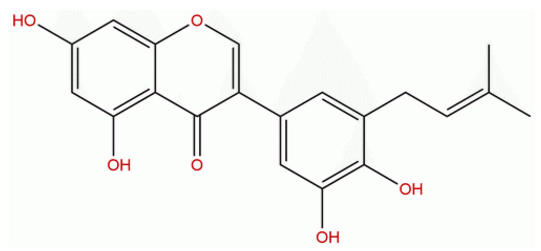 西北甘草異黃酮 CAS：116709-70-7 中藥對照品標(biāo)準(zhǔn)品