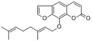 8-香葉草氧基補骨脂素 CAS：7437-55-0 中藥對照品標(biāo)準(zhǔn)品