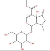 戟葉馬鞭草苷 CAS:50816-24-5 中藥對(duì)照品標(biāo)準(zhǔn)品