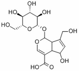 去乙?；嚾~草苷酸 CAS：14259-55-3 中藥對照品標(biāo)準(zhǔn)品