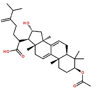 去氫茯苓酸 CAS：77012-31-8 中藥對(duì)照品標(biāo)準(zhǔn)品