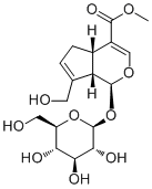 梔子苷 CAS：24512-63-8 中藥對(duì)照品標(biāo)準(zhǔn)品