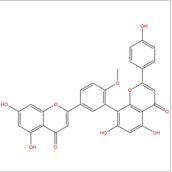 7-去甲基銀杏雙黃酮 CAS：521-32-4 中藥對(duì)照品標(biāo)準(zhǔn)品