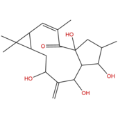 7-羥基千金子二萜醇 CAS：34208-98-5 中藥對(duì)照品標(biāo)準(zhǔn)品