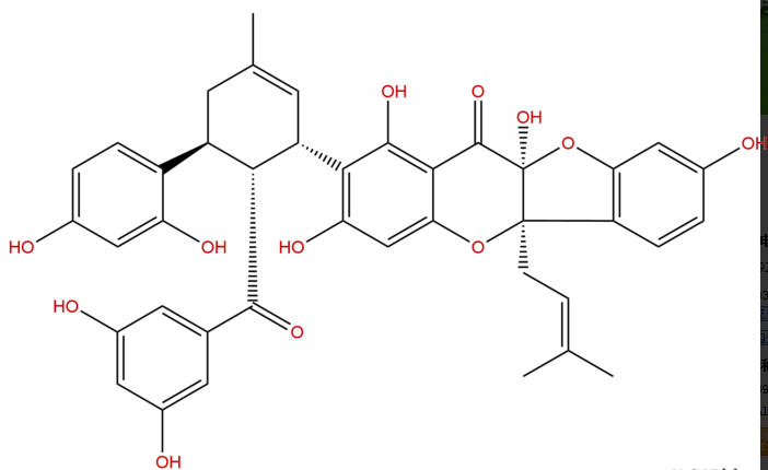 桑根酮C CAS: 80651-76-9 中藥對(duì)照品 標(biāo)準(zhǔn)品