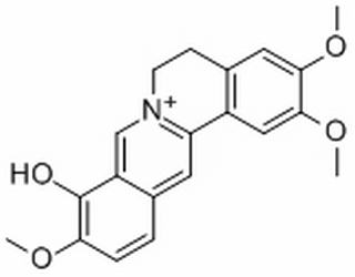 巴馬亭紅堿 CAS：16176-68-4 中藥對(duì)照品標(biāo)準(zhǔn)品