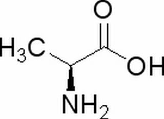 L-丙氨酸 CAS：56-41-7 中藥對照品標準品