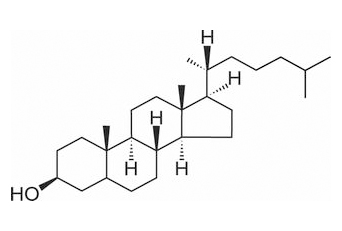 二氫膽固醇 CAS：80-97-7 中藥對(duì)照品標(biāo)準(zhǔn)品